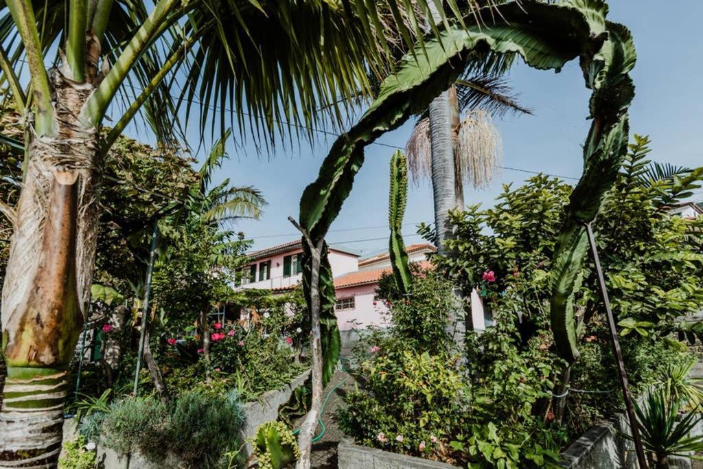 City View Gardens Funchal Dış mekan fotoğraf