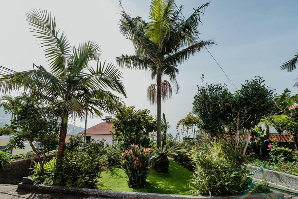 City View Gardens Funchal Dış mekan fotoğraf