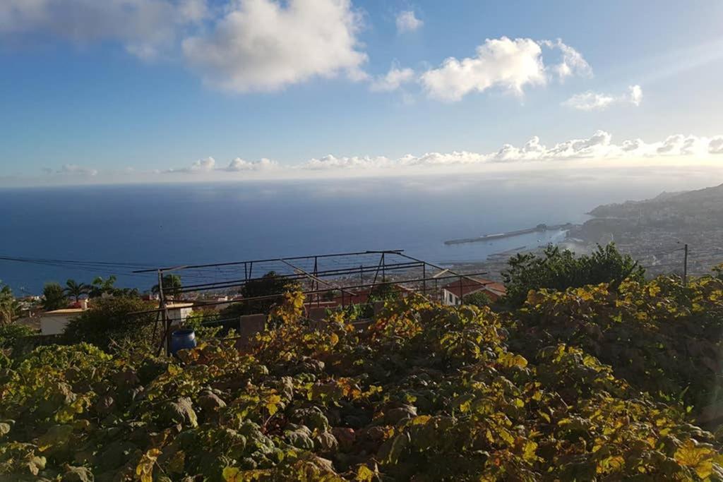 City View Gardens Funchal Dış mekan fotoğraf