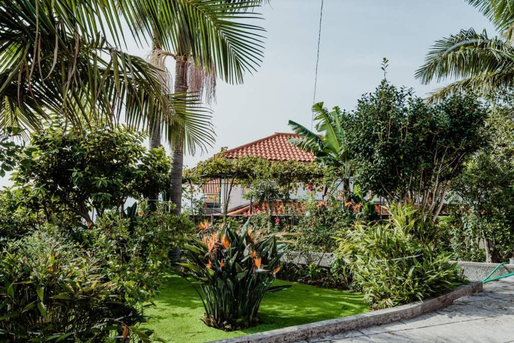 City View Gardens Funchal Dış mekan fotoğraf
