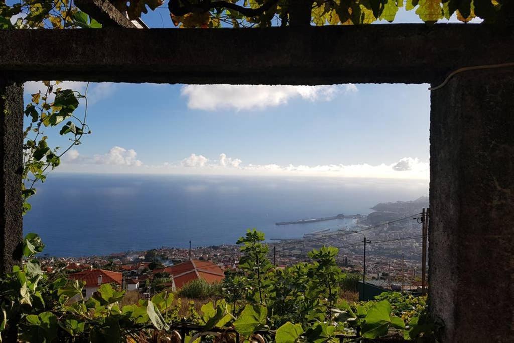 City View Gardens Funchal Dış mekan fotoğraf
